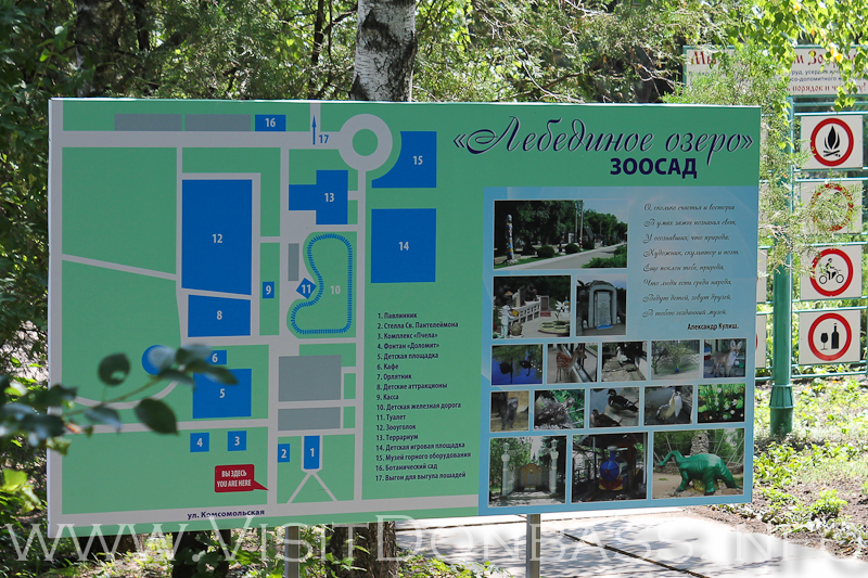 План-карта зоопарка в Докучаевске