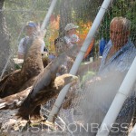 Хищные птицы - главная изюминка зоопарка в Докучаевске